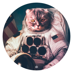 ASTROCAT