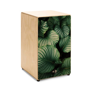 CAJON (Bausatz) - "PFLANZE"