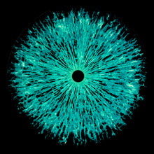 Laden Sie das Bild in den Galerie-Viewer, NEON EYE (Glow in the dark)